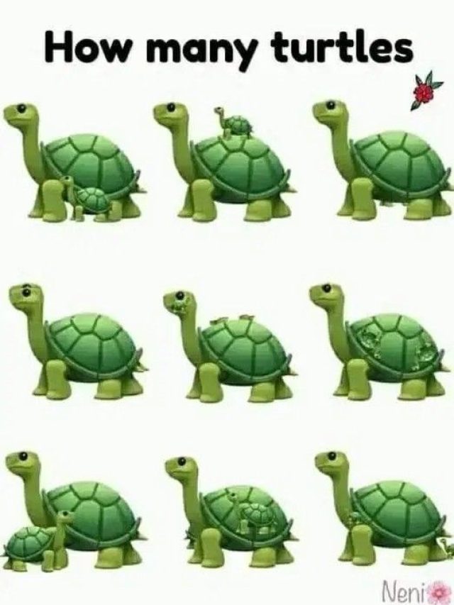 तस्वीर में छिपे कछुए को खोज पाएंगे आप, 10 सेकंड का चैलेंज