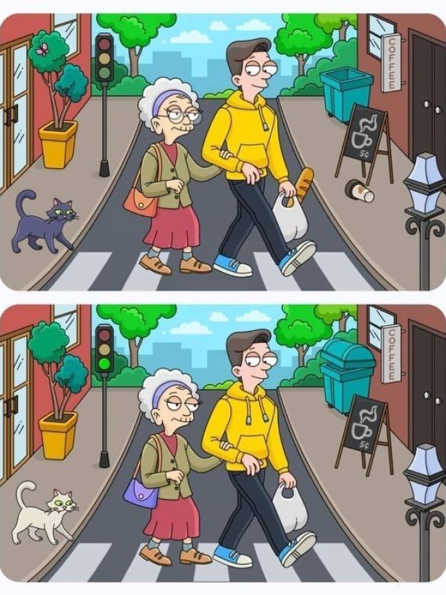 तस्वीर में पेंटर ने कर दी हैं 6 गलतियां, क्या 10 सेकंड में ढूंढ पाएंगे