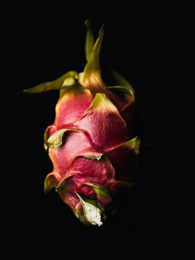 ड्रैगन फ्रूट को उगाते समय इन बातों का रखें ख्याल, सालभर मिलेंगे फल