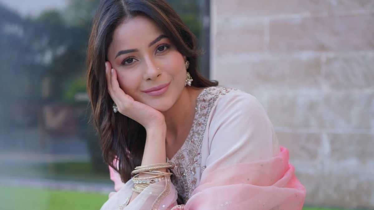 शादी नहीं करना चाहती पंजाब की 'कैटरीना कैफ', जिम्मेदारी उठाने से कतराई, बोली- मैं क्यों...