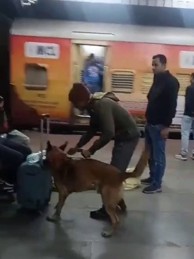 दिल्ली में धमाके के बाद रेलवे अलर्ट, स्टेशन से लेकर ट्रेनों तक में बढ़ी सुरक्षा