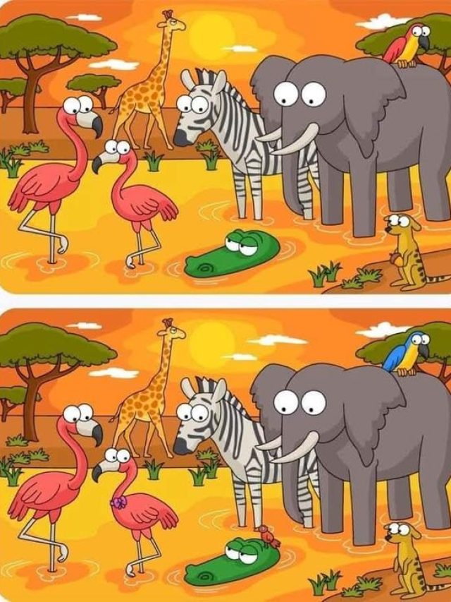 तस्वीर में हैं 6 गलतियां, 10 सेकंड में खोजने का चैलेंज