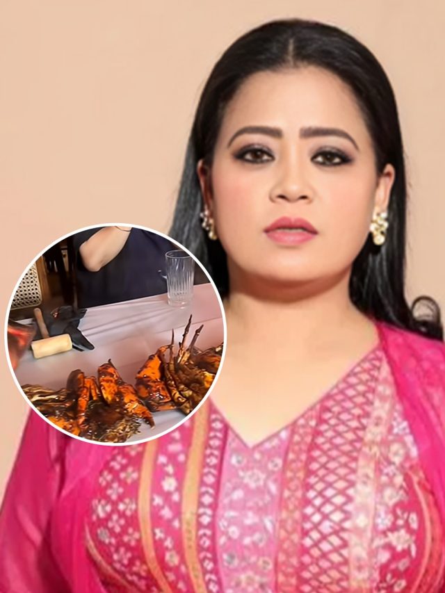 प्रेग्नेंट भारती-देबिना ने खाया केकड़ा, हुईं ट्रोल, पार्टी का Inside Video वायरल