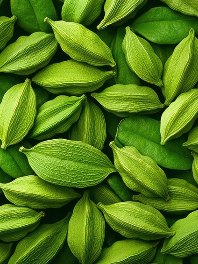 Cardamom’s comeback: The fragrant secret your digestive system’s been craving