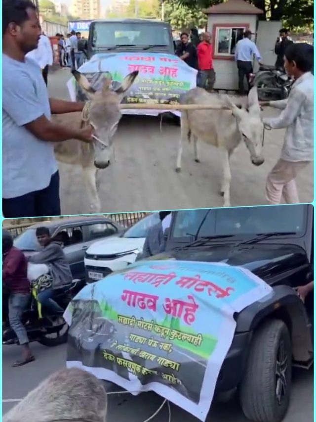 गधे, गाड़ी और गुस्सा! THAR से परेशान मालिक ने गधों से खिचवाई SUV