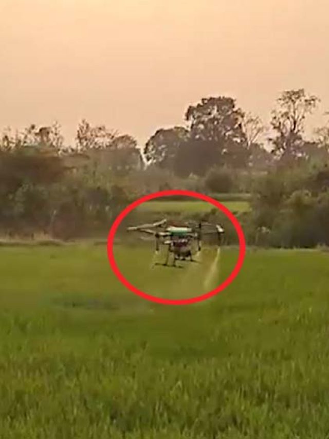 महाराष्ट्र: खेती में होगा AI टेक्नोलॉजी का इस्तेमाल, ड्रोन की मदद से समृद्ध बनेंगे किसान!