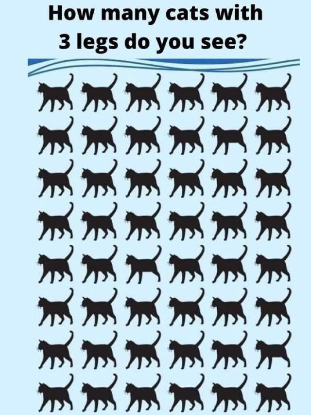 तस्वीर में तीन पैरों वाली बिल्ली खोज पाएंगे, 10 सेकंड का चैलेंज