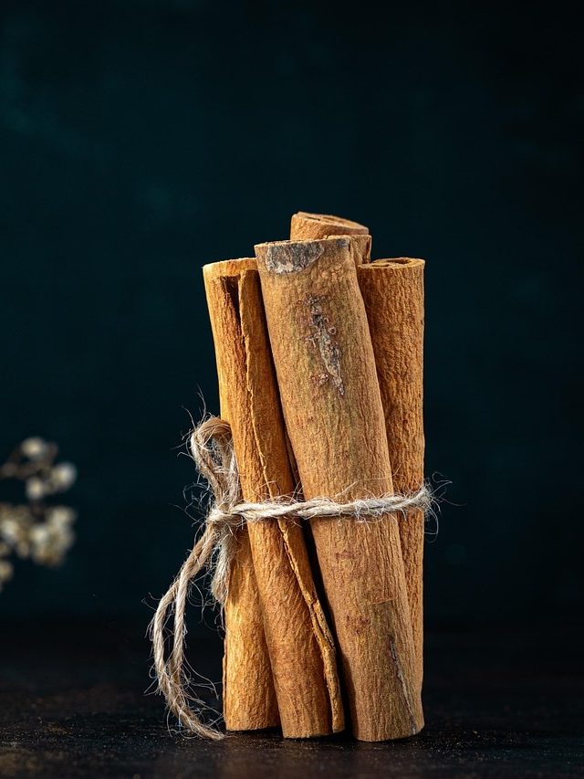 घर पर उगाएं सुगंधित दालचीनी, ये है स्टेप बाय स्टेप तरीका