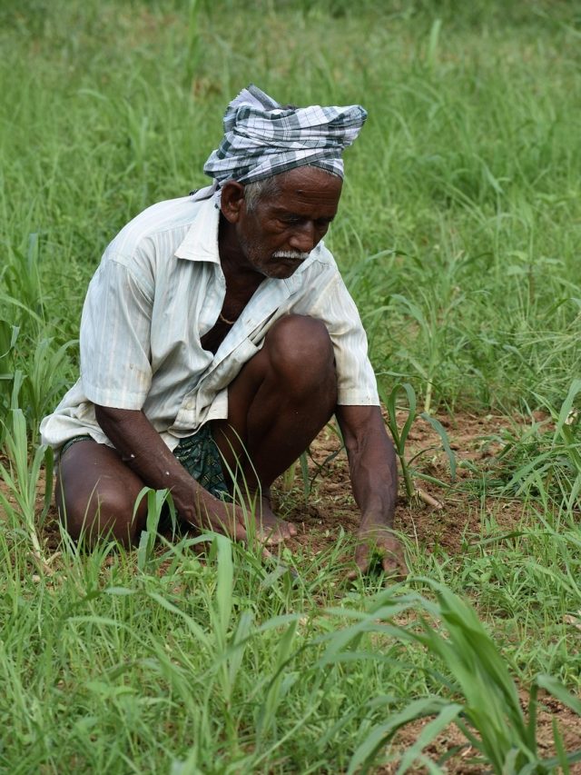 Soil Health Card क्या है? जानिए इसके फायदे और बनवाने का तरीका