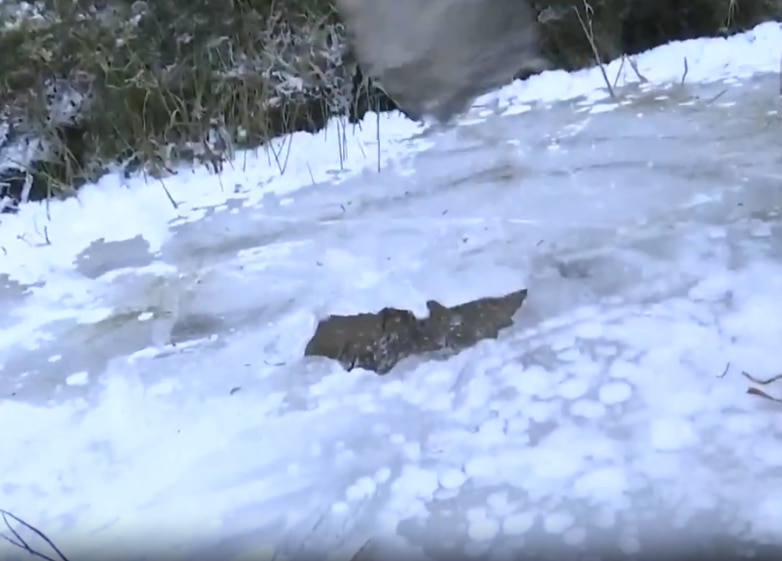 ठंड ने दिखाए तेवर, जमने लगी श्रीनगर की डल झील, कश्मीर में -4 डिग्री पारा