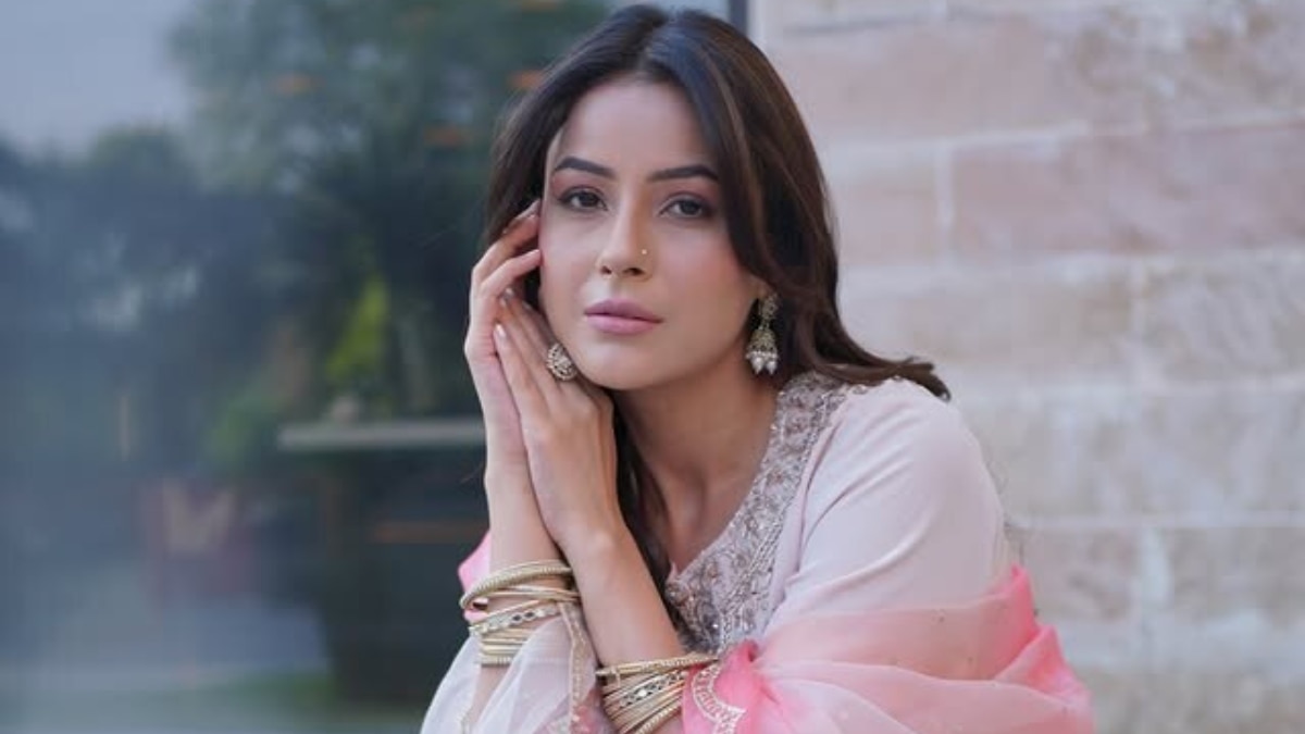 शादी से हटा शहनाज का मन, बॉयफ्रेंड को दे चुकी हैं धोखा, बोलीं- मर्दों का घमंड...