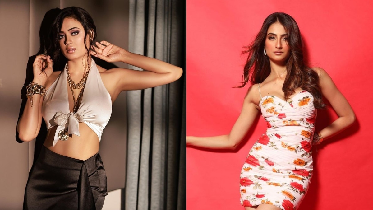 पलक तिवारी का जुड़ा इस एक्टर संग नाम, घबराईं श्वेता तिवारी, बोलीं- मुझे डर...