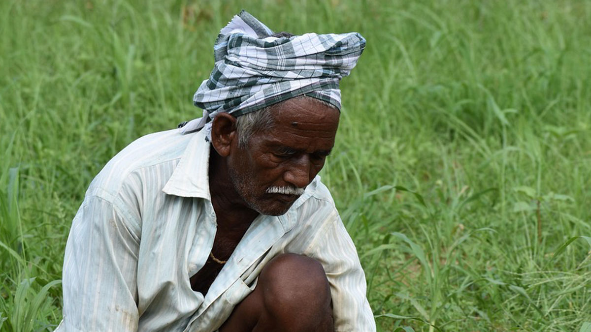 PM Kisan App: अपने फोन में ये ऐप जरूर रखें किसान, मिलेंगे ढेरों फायदे!