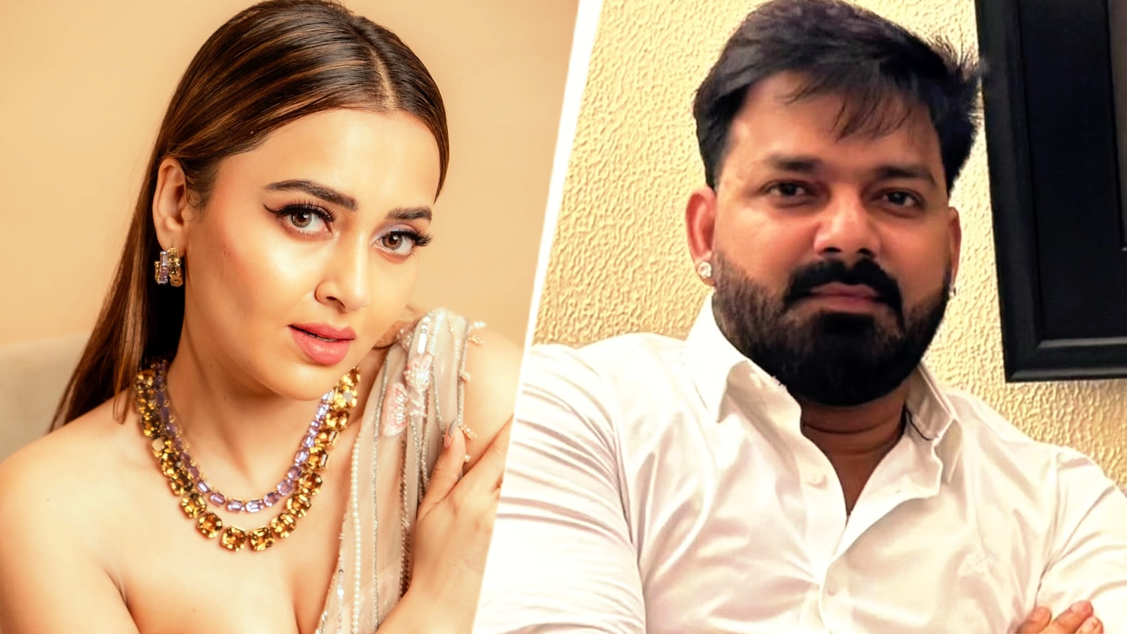 'मैं तुम्हारे बच्चे की मां बनने वाली हूं', पवन सिंह से बोली हसीना, चौंके पावर स्टार फिर...