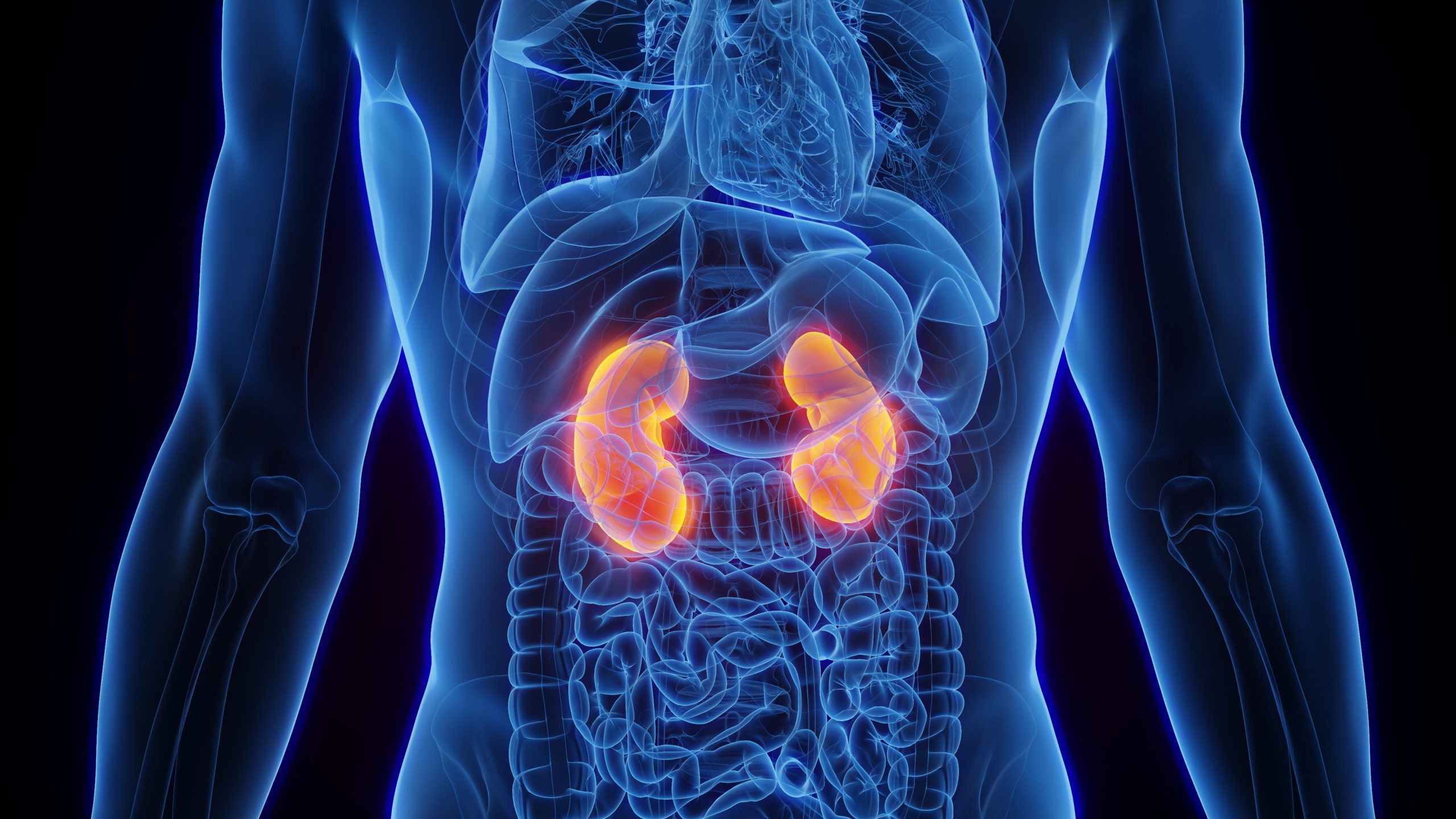 किडनी में जमी गंदगी साफ करेंगे ये 5 फूड्स, घटेगा Kidney Damage का खतरा