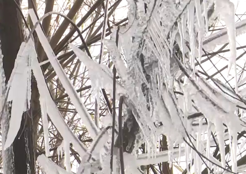 अनंतनाग में जम गए पानी के सोर्स, पेड़ों पर भी बर्फ के झूमर! वीडियो में देखें कश्मीर की ठंड