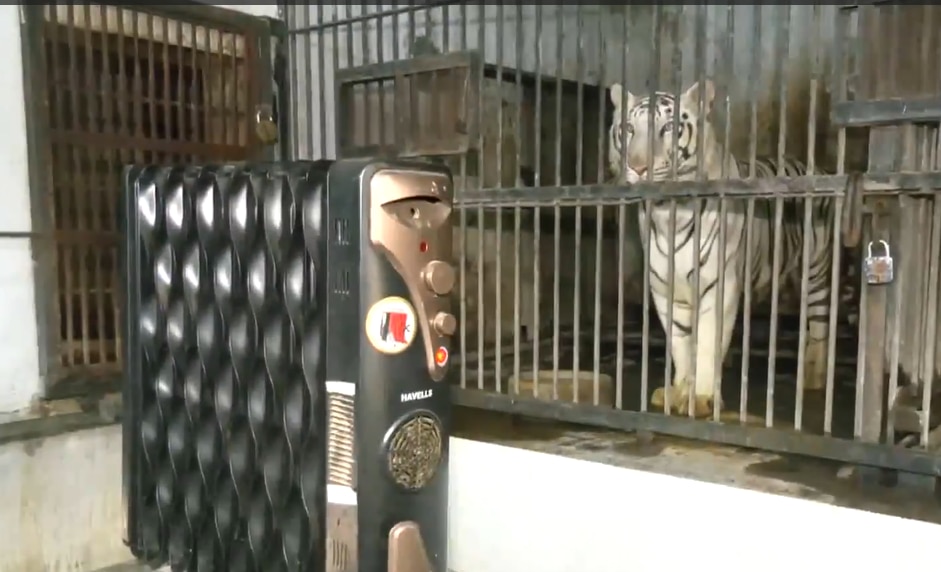 जानवरों की विंटर केयर...कंबल-हीटर और स्पेशल डाइट की व्यवस्था, पटना जू में क्या-क्या