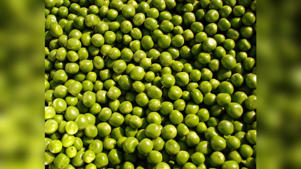 घर पर उगा दें ये बेस्ट क्वालिटी की मटर, यहां मिलेंगे ऑनलाइन बीज