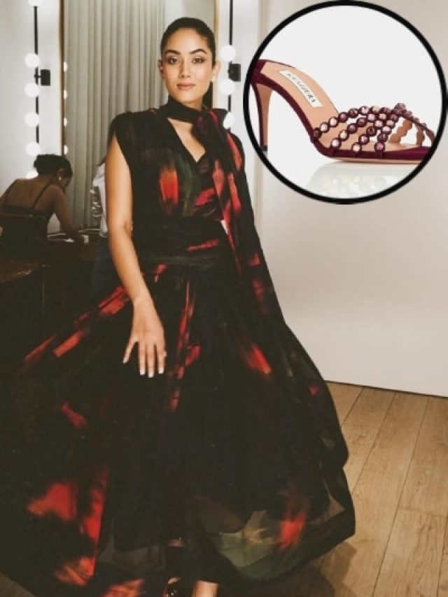 15 हजार की ड्रेस पर 1 लाख से ज्यादा की हील्स पहन मीरा ने दिखाया टशन, छा गया लुक