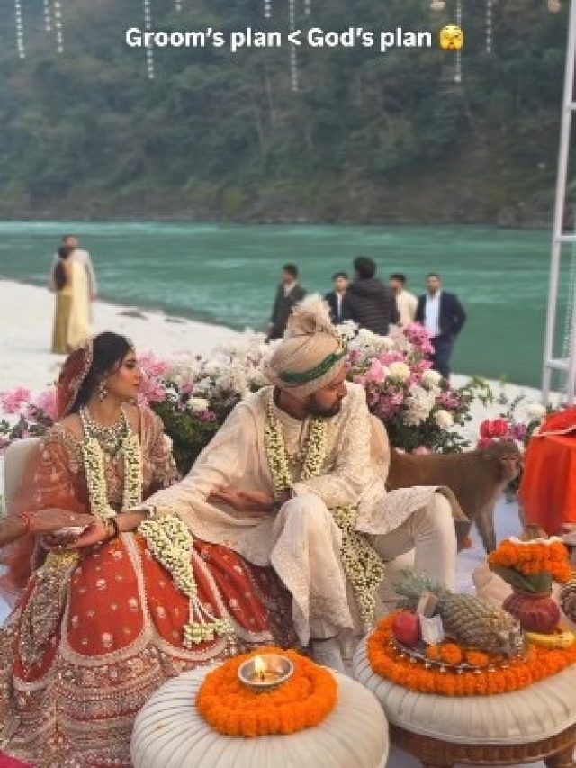 ऋषिकेश में शादी के बीच आ गया बंदर, लोगों ने कहा – 'यह तो हनुमान जी का आशीर्वाद है'