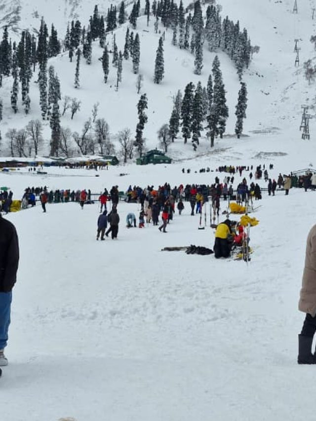 विंटर वंडरलैंड बना गुलमर्ग, हर तरफ बिछी सफेद चादर, बर्फबारी में झूमे पर्यटक