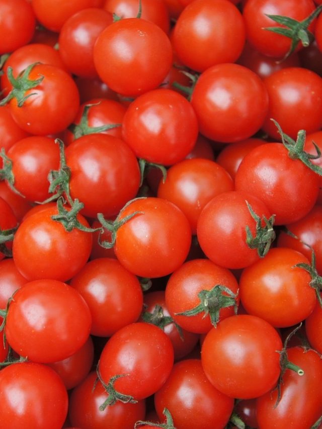 টম্যাটোতে মিশছে রাসায়নিক, কী কী দেখে কিনবেন?