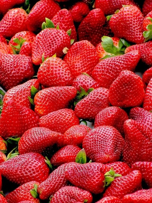 घर में स्ट्रॉबेरी कैसे उगाएं? नोट करें स्टेप बाय स्टेप पूरा प्रोसेस