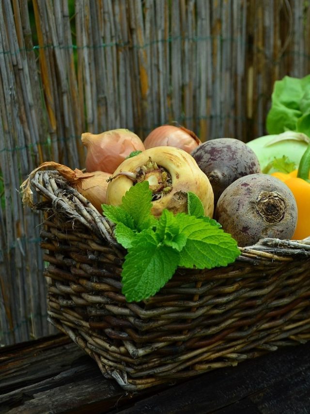 घर में जरूर उगाएं जड़ वाली ये 5 सब्जियां, बेहद आसान है तरीका