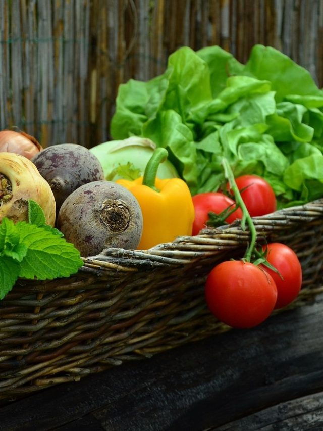 दिसंबर में इन सब्जियों की बुवाई से बढ़ेगी कमाई, खेती में मिलेगा ज़्यादा मुनाफ़ा