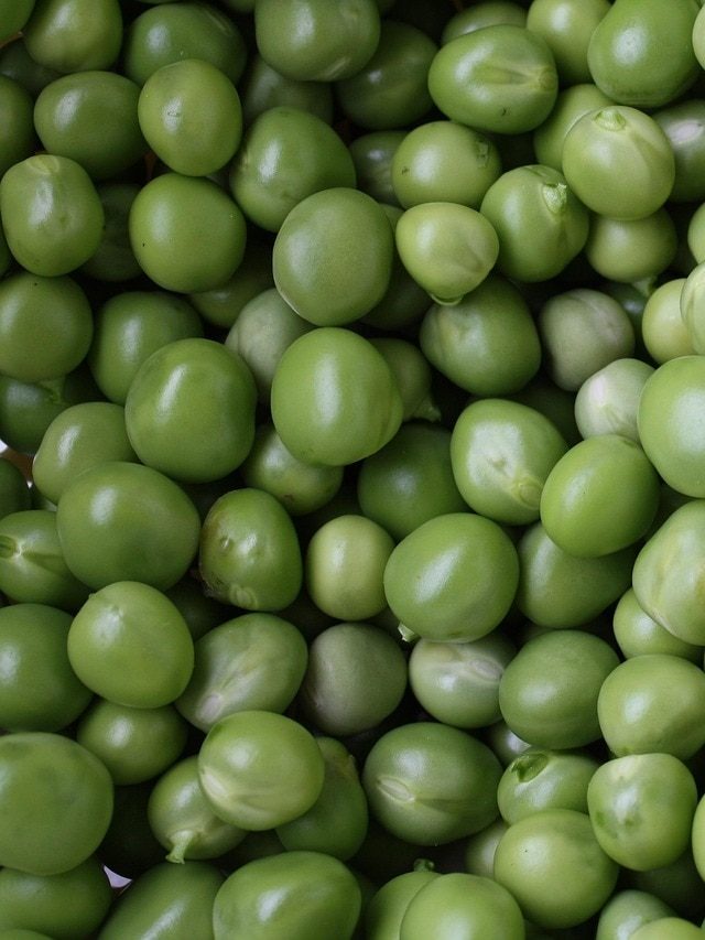 घर पर उगा दें ये बेस्ट क्वालिटी की मटर, यहां मिलेंगे ऑनलाइन बीज