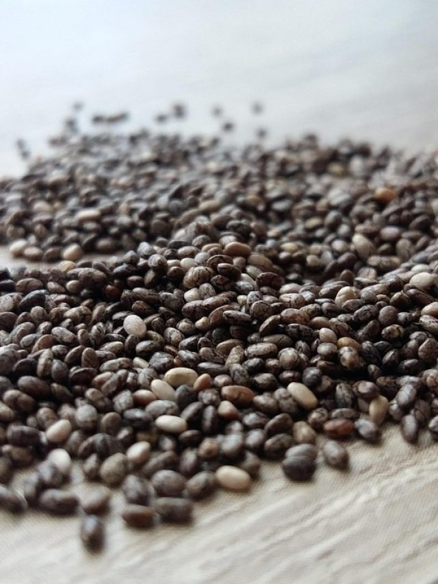 Gardening Tips: गमले में ऐसे उगाएं चिया बीज, 10 दिन में दिखेगा असर