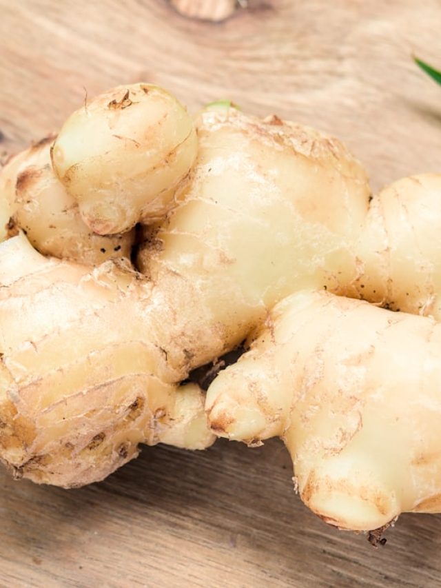 इस तरीके से घर में उगाएं अदरक, पैसों की बचत, खूशबू भी भरपूर