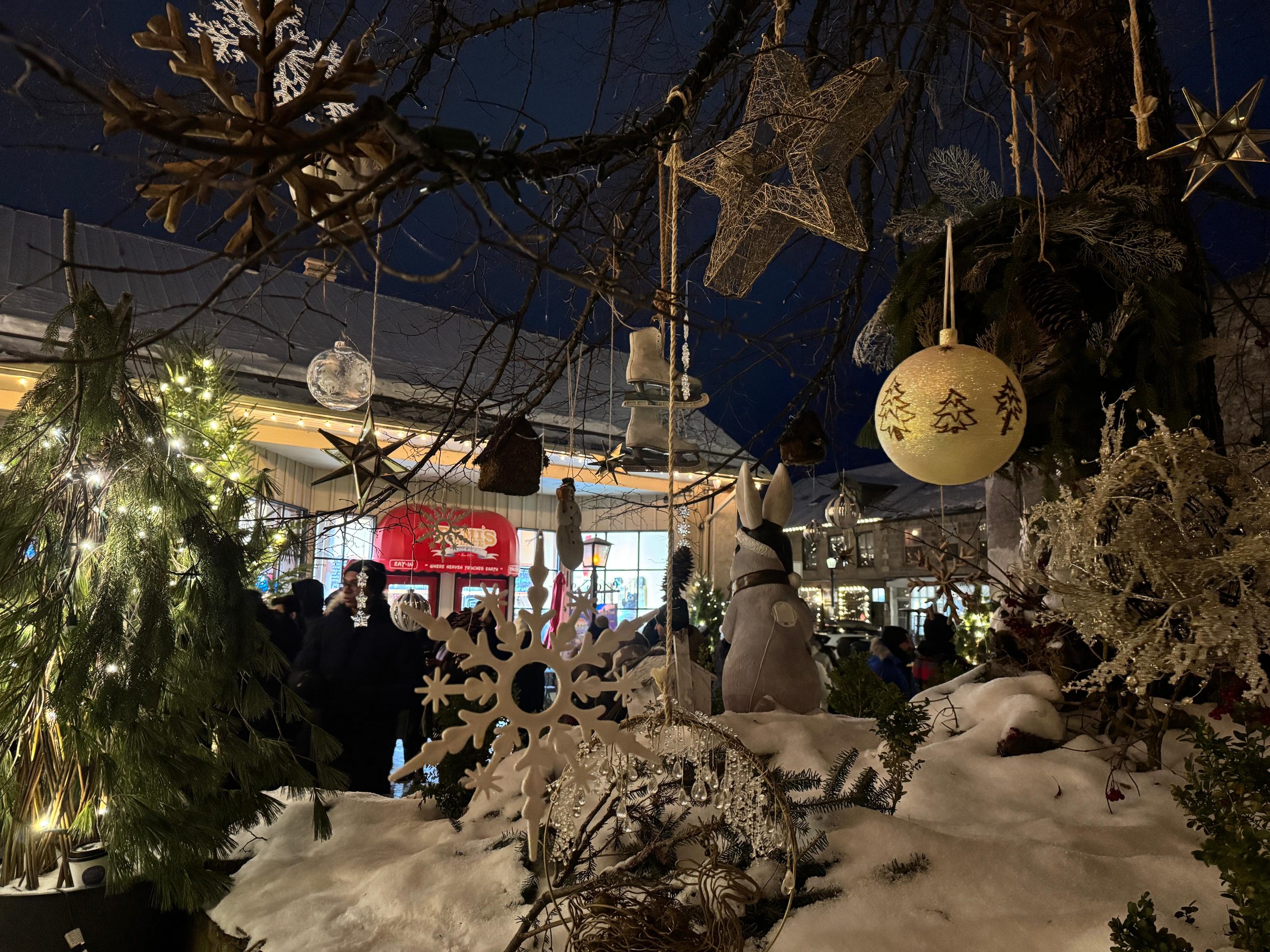 -14° पारा, बर्फ में कॉफी और बोनफायर… टोरोंटो में भारतीयों ने ऐसे मनाया क्रिसमस