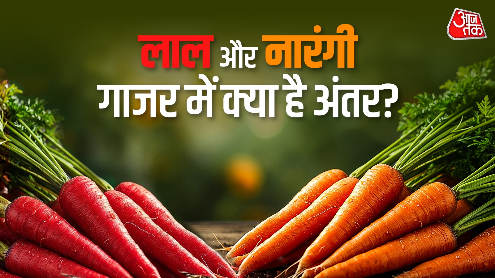 लाल गाजर खाएं या नारंगी, कौन है सेहत का असली खजाना? आधे भारतीय नहीं जानते