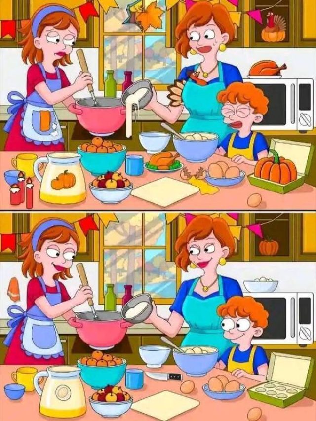 तस्वीर में हैं 7 गलतियां, 10 सेकंड में खोजने का चैलेंज