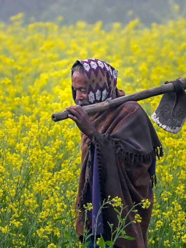 इन किसानों के खाते में नहीं आएगी PM‑Kisan की 22वीं किस्त, जानें पूरी डिटेल