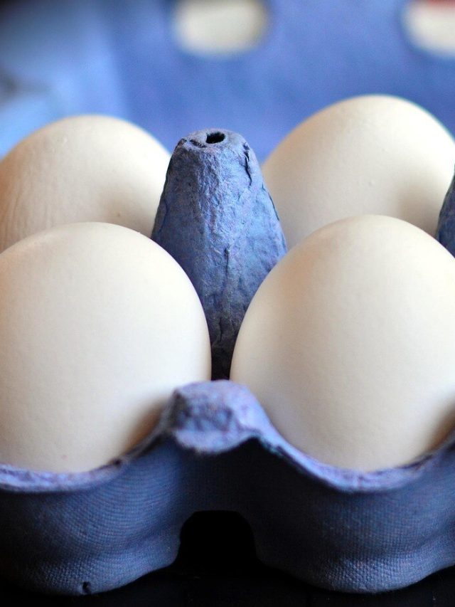 ডিম পচা না কি তাজা? বুঝতে পারবেন ৫ উপায়েই