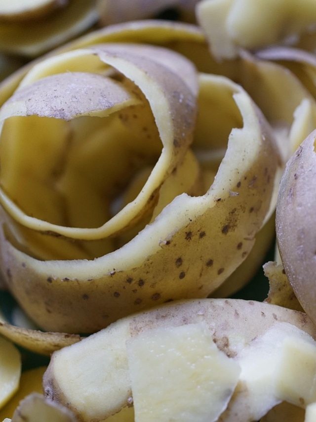 पौधों में नई जान डाल देंगे आलू के छिलके, किचन वेस्ट से ऐसे बनाएं खाद