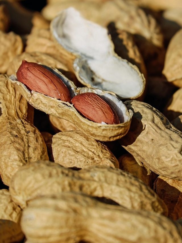 मूंगफली के छिलकों को फेकें नहीं, ऐसे बनाएं खाद, तेज़ होगी पौधों की वृद्धि