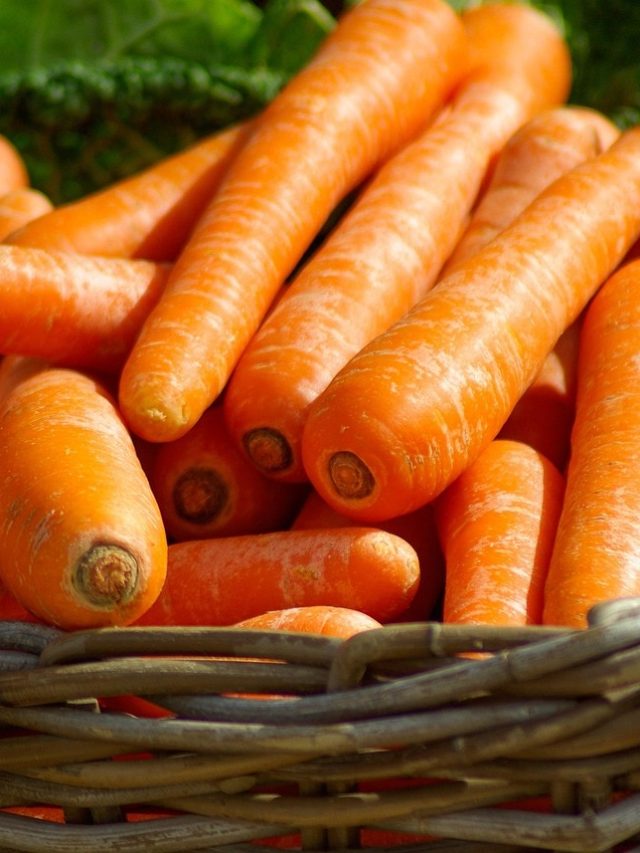 এঁদের গাজর খেলেই বিপদ,বিষের মতো ক্ষতিকারক, জানেন কারা ?