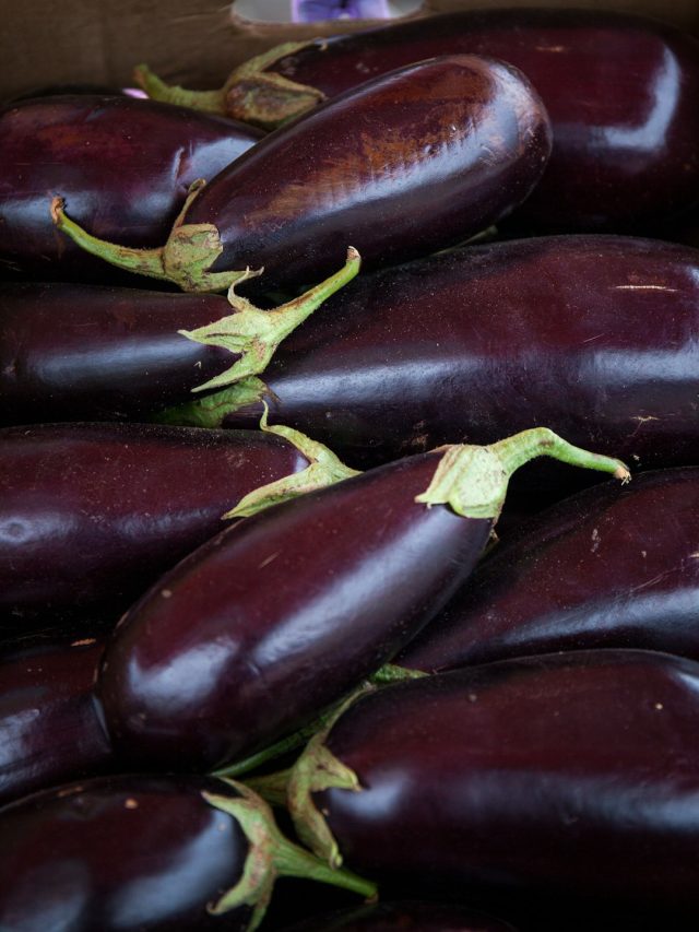 ভর্তা-ভাজা  কিচ্ছুটি নয়, এই ৭ রোগে বেগুন ছোঁবেনই না