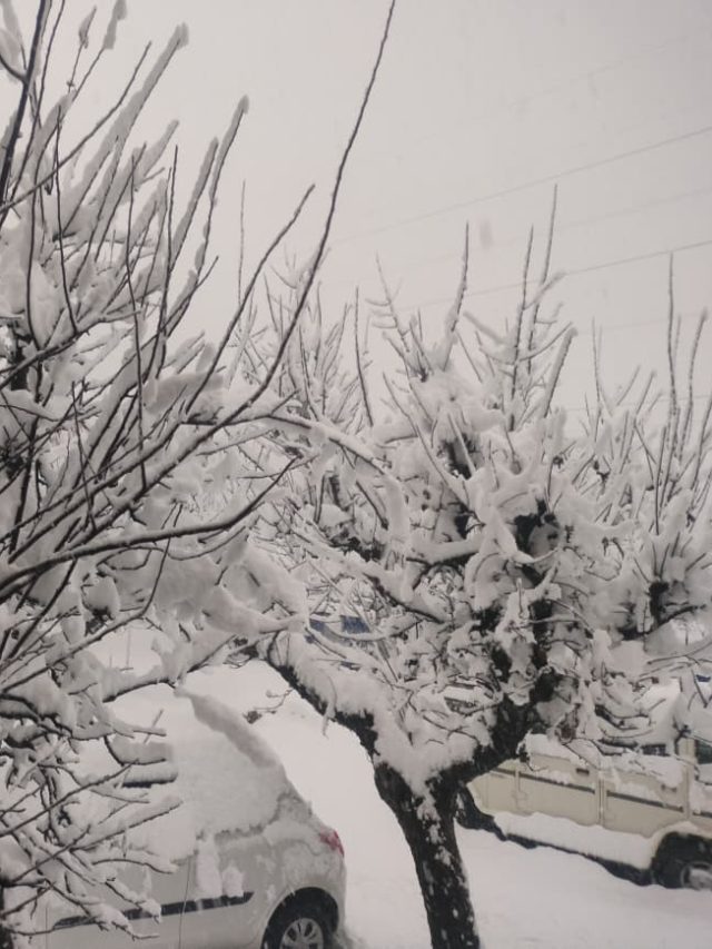 Snowfall: पहाड़ों पर भारी बर्फबारी, 30 वीडियो में देखें हर तरफ बर्फ ही बर्फ