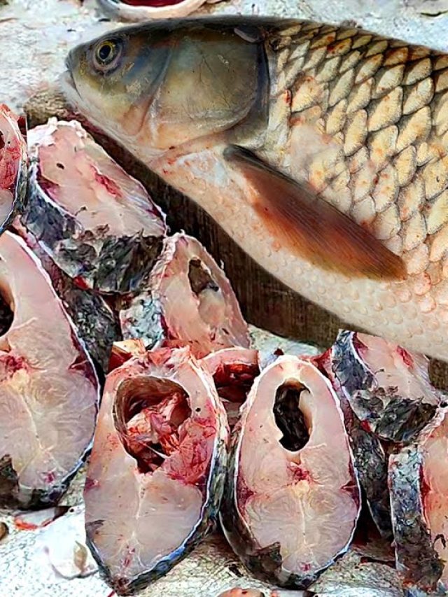 মাছের এই অংশ বাড়ায় কোলেস্টেরল আর ওজন,খাওয়া বন্ধ করুন