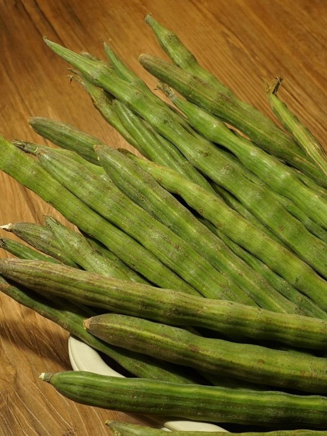 सेहत का खज़ाना है ये पौधा, घर पर ऐसे लगाएं ड्रमस्टिक