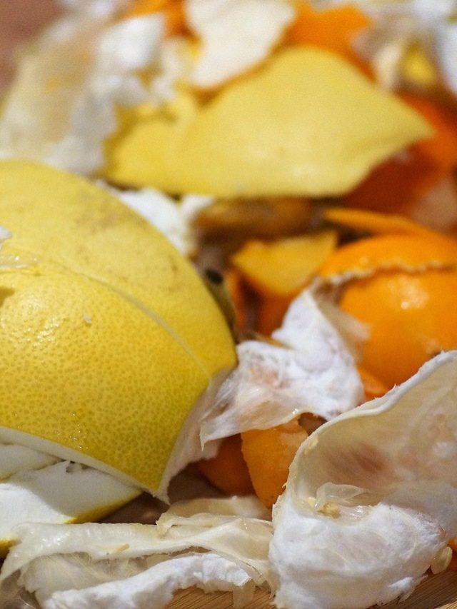 इन 4 फलों के छिलकों से घर पर बनाएं ऑर्गेनिक खाद, खिले-खिले रहेंगे पौधे