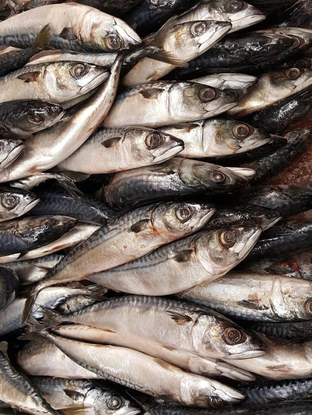 খাওয়া বন্ধ করুন এই ৬ মাছ, বারোটা বাজাবে শরীরের