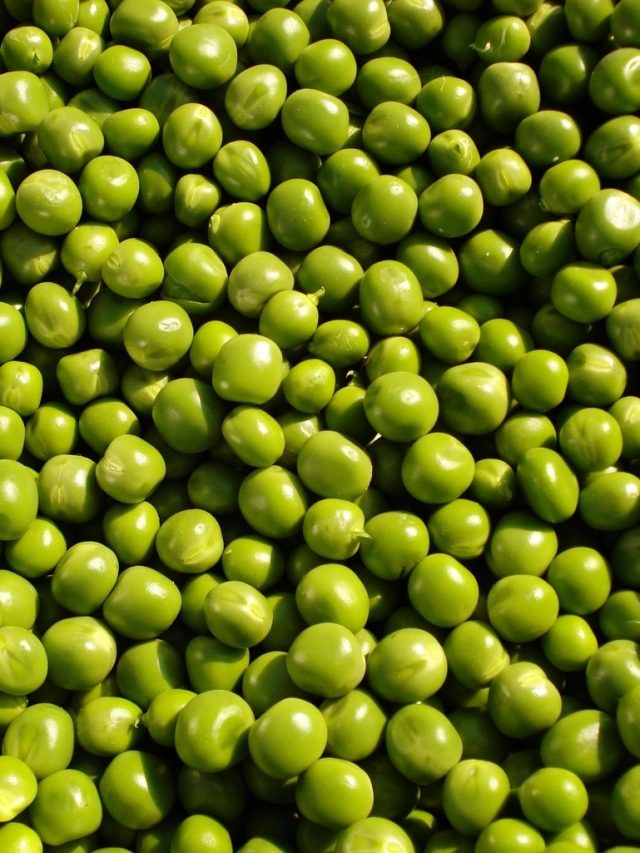 পাঁচ কিলো কড়াইশুঁটির খোসা ছাড়ান ৫ মিনিটেই, রইল হ্যাক