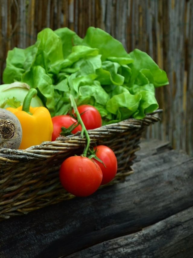 मार्च में लगाएं ये सब्जियां, गर्मियों में मिलेगी बंपर फसल