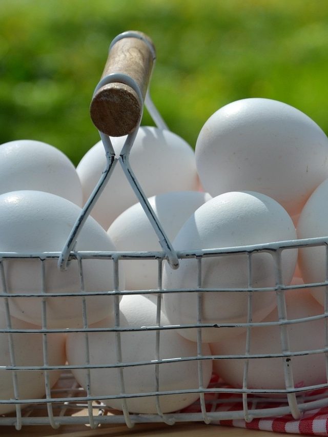 প্লাস্টিকের ডিম কিনছেন না তো? আসল ও নকল চেনার উপায় জেনে নিন