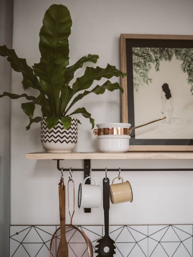 रोज़मर्रा की ये चीज़ें आपके पौधों को दे सकती हैं प्राकृतिक ताकत, जानें